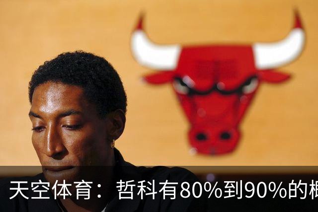 天空体育：哲科有80%到90%的概率和沙尔克续约